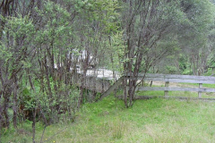PC00245