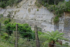 PC00256