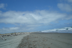 DSC01381