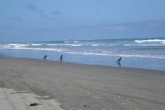 DSC01390