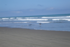 DSC01392