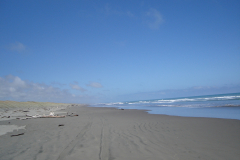 DSC01397