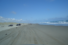 DSC01407