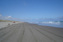 DSC01408