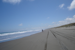 DSC01410