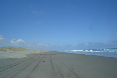 DSC01411
