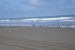 DSC01416