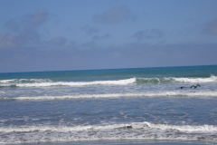 DSC01420