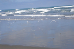 DSC01423