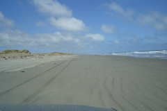 DSC01433
