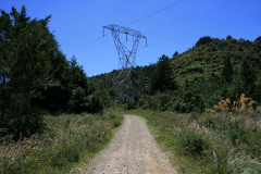IMG-4175