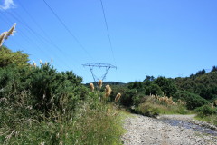 IMG-4177
