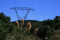 IMG-4178