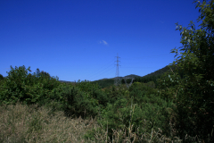 IMG-4179