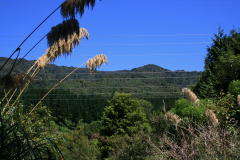 IMG-4180