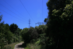 IMG-4181