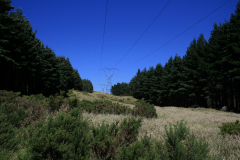 IMG-4183