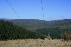 IMG-4185