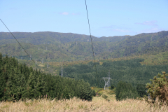 IMG-4187