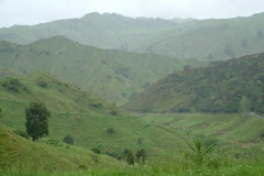 PC00037