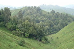 PC00038