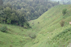 PC00042