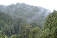 PC00049