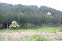 PC00054