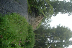 PC00056