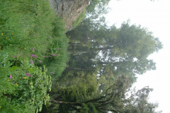 PC00057