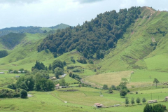 PC00065