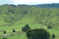 PC00067