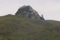 PC00113