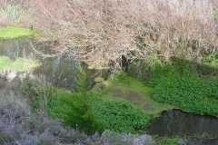 PC00050