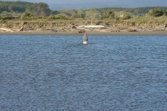 PC00061