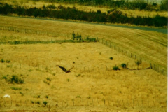 PC00033
