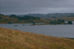 PC00113