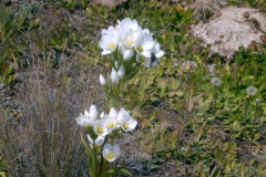 PC00125