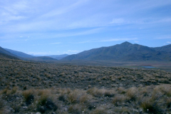 PC00184