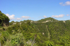 TR06426