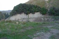 TR06934