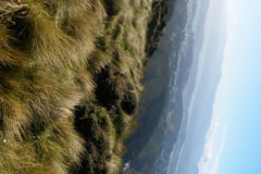 20170407-102654-r