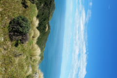 20171017-113613-r