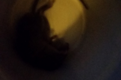 20180522-172444