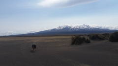 20191213_154307