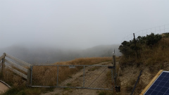 20200118_172929
