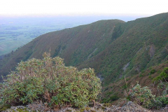PC00061