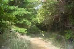 PC00175