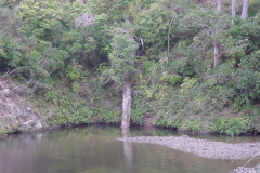 PC00182