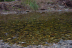 PC00184